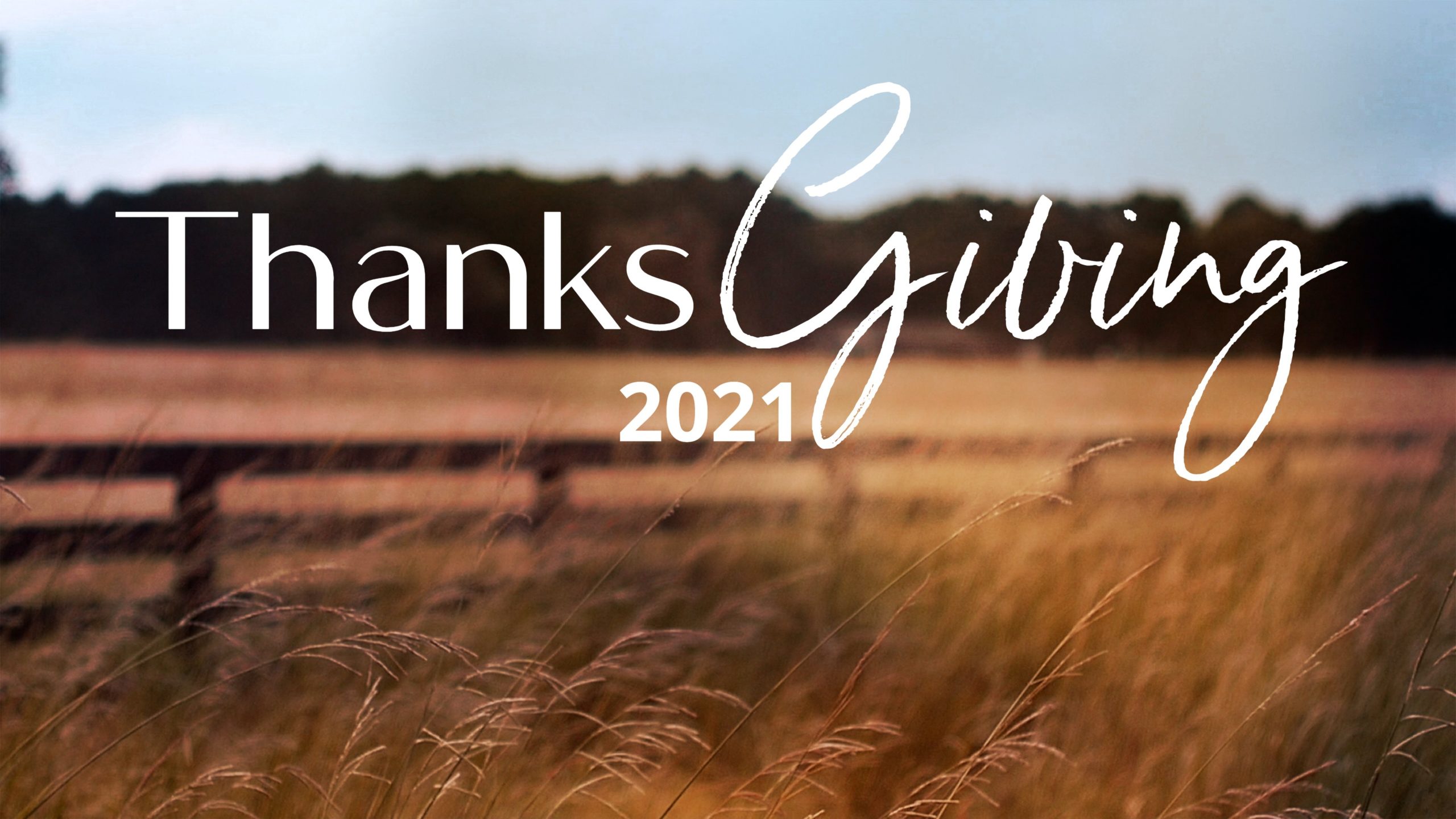 Thanks Giving 2021 episode artwork